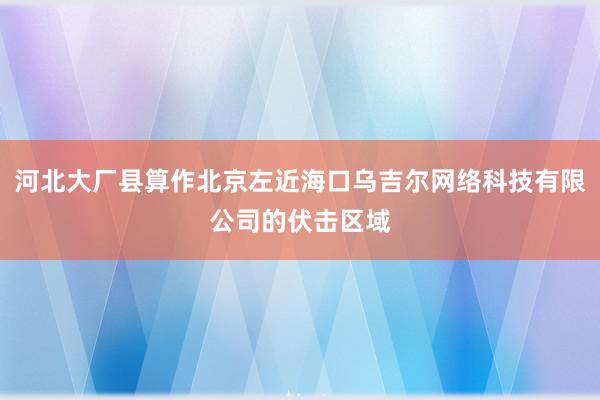 河北大厂县算作北京左近海口乌吉尔网络科技有限公司的伏击区域