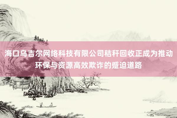海口乌吉尔网络科技有限公司秸秆回收正成为推动环保与资源高效欺诈的蹙迫道路
